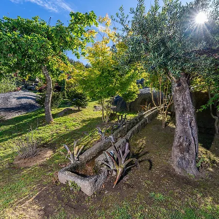 Ferienhaus Magnolia Sublime - Casa Dos Jeronimos