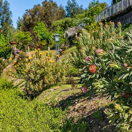 Magnolia Sublime - Casa Dos Jeronimos