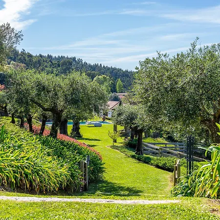 Magnolia Sublime - Casa Dos Jeronimos * Ponte de Lima