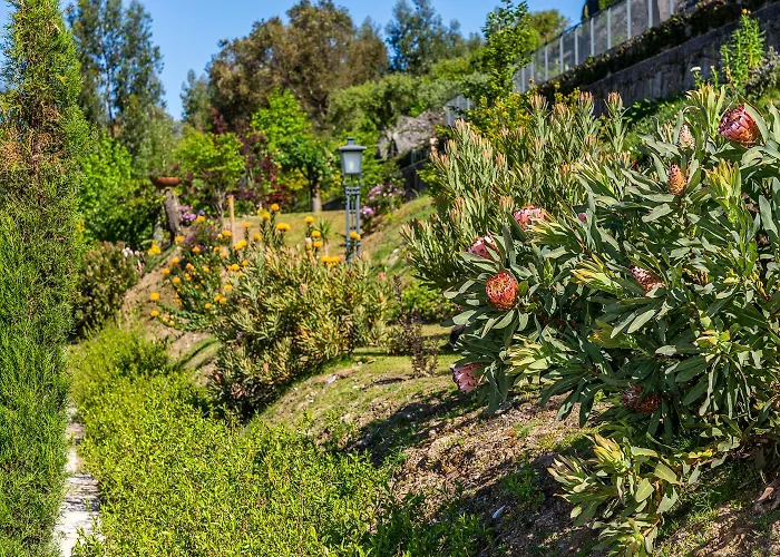 Magnolia Sublime - Casa Dos Jerónimos